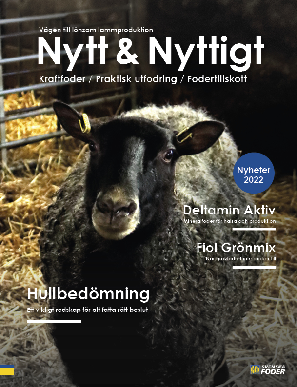 Framsida Nytt & Nyttigt om Får 2022