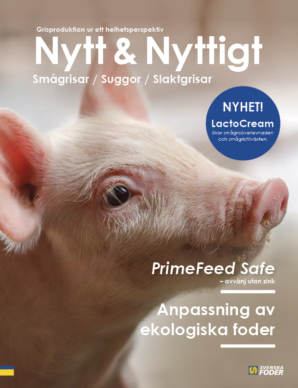 Framsida Nytt & Nyttigt om gris 2022
